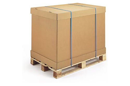 triplex-palet-koli-2